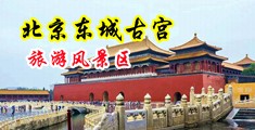 少妇的骚穴中国北京-东城古宫旅游风景区